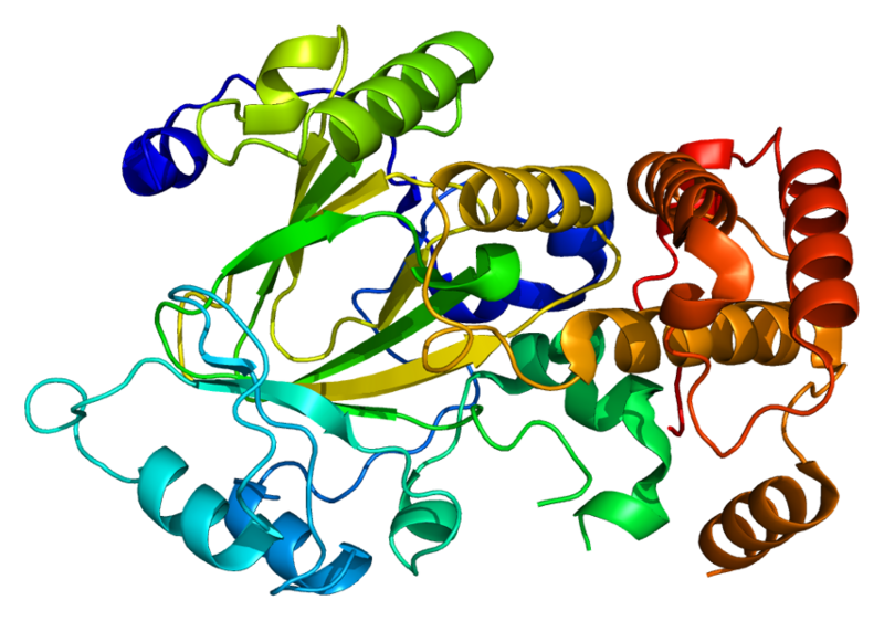 ملف:Protein FBXL11 PDB 2yu1.png