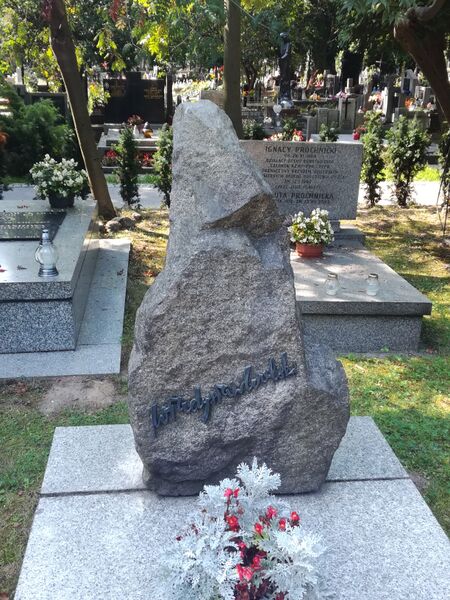 ملف:Władysława Wolskiego.jpg