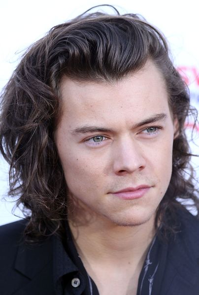 ملف:Harry Styles November 2014.jpg