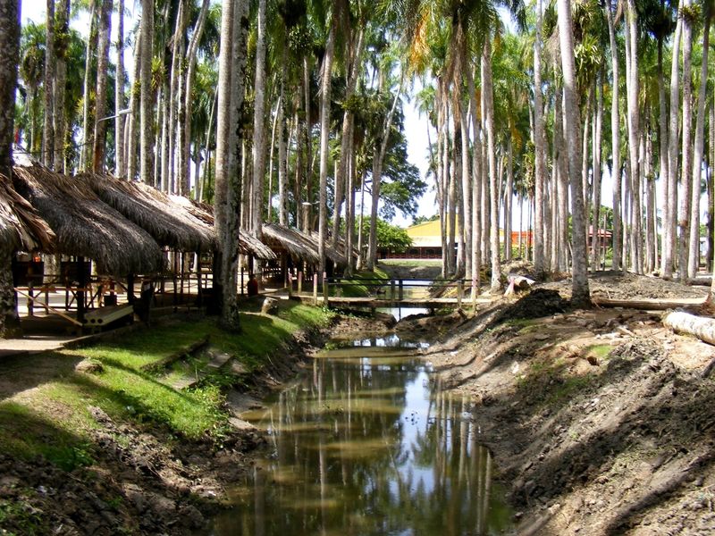 ملف:Paramaribo Palmentuin.jpg