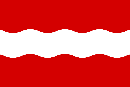 ملف:Ruzhyn Raion flag.svg