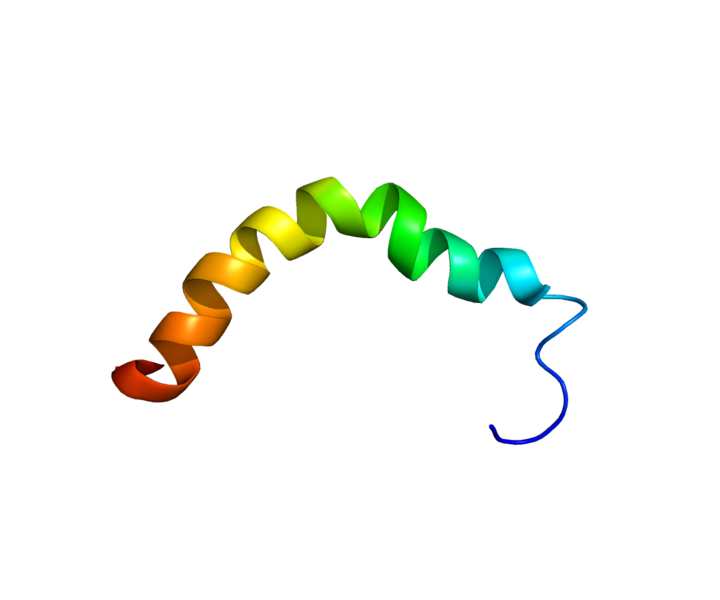 ملف:Protein UCN2 PDB 2RMG.png