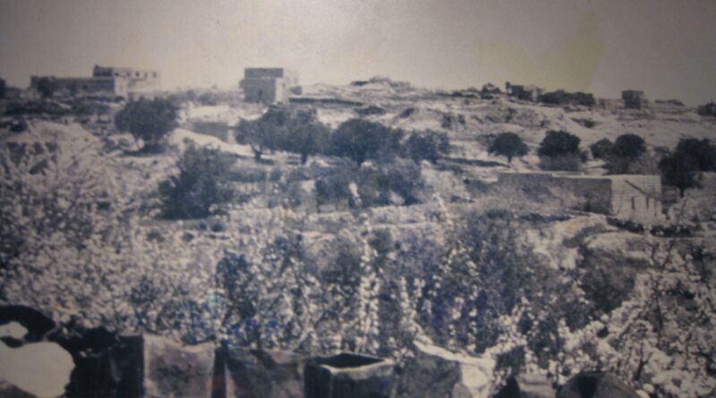 ملف:Deir Yassin IMG 0859.JPG