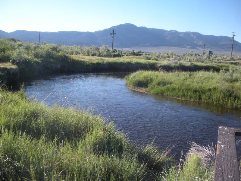 ملف:East Walker River.jpg