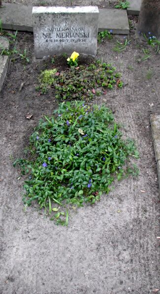 ملف:Merjanski, Nil.IMG 0961.JPG