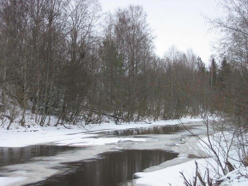 ملف:Muhosjoki river.JPG