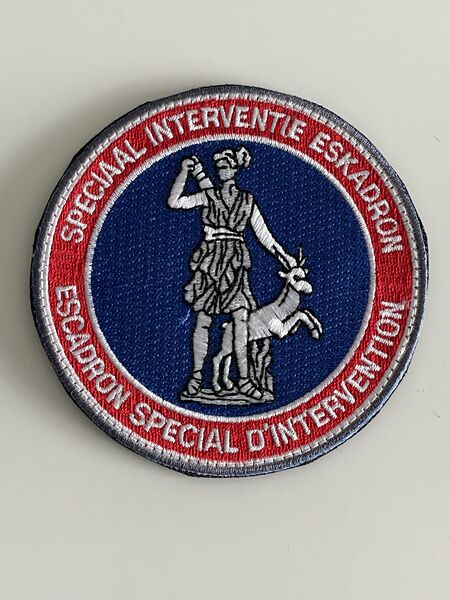 ملف:SIE ESI red patch.jpg