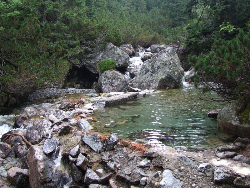 ملف:Mała Zimna Woda a1.jpg