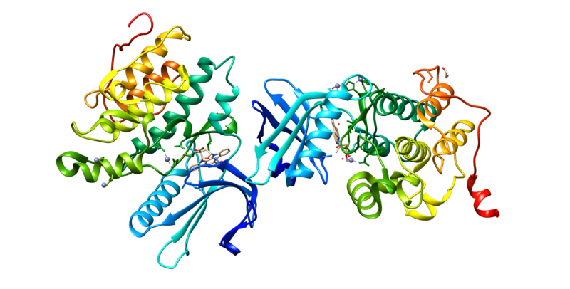 ملف:AAK1 prot.png