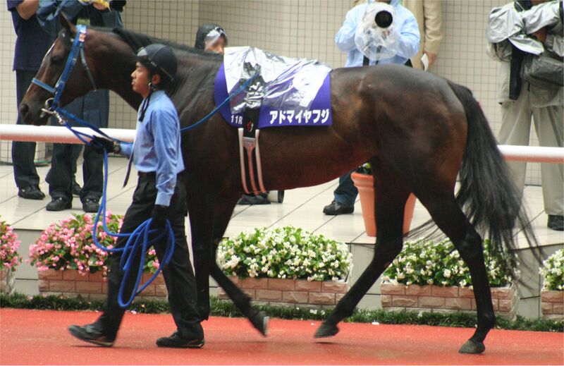 ملف:Admire Fuji 20070624P1.jpg