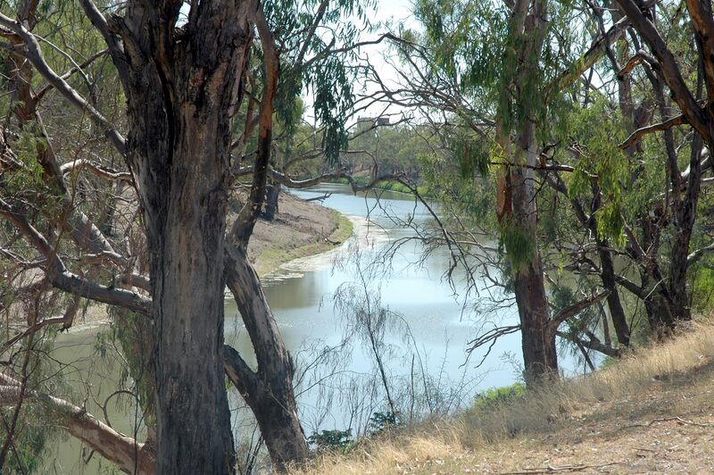 ملف:Bourke Darling River.jpg
