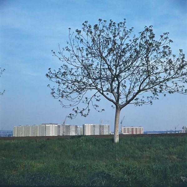 ملف:Buiucani (1980). (10530888934).jpg