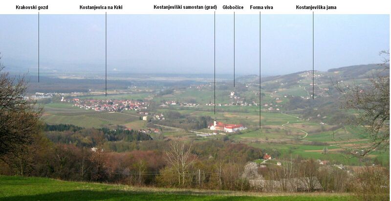 ملف:KostanjevicaNaKrki-panorama.JPG