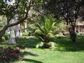 Orman garden - Cairo By Hatem Moushir 12.JPG