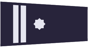 ملف:PL policja 1995 podinsp.svg