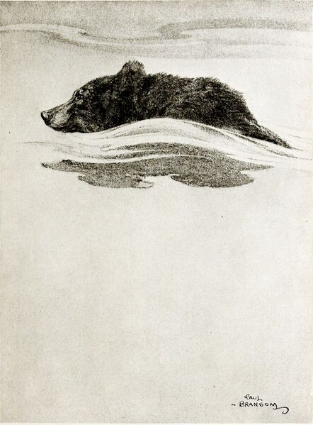 ملف:St. Nicholas-Vol 1.1-735.jpg