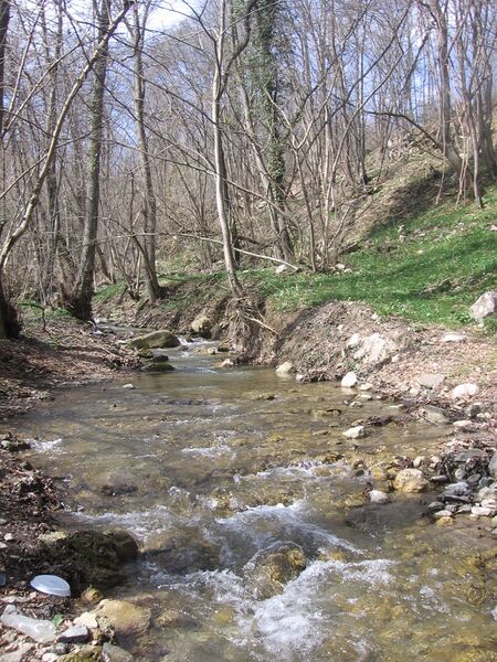 ملف:Русло Улу-Узень.jpg