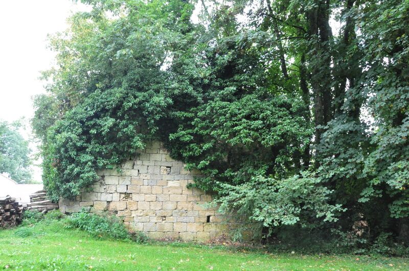 ملف:Chauvirey-le-Châtel - Château-Dessus 01.JPG