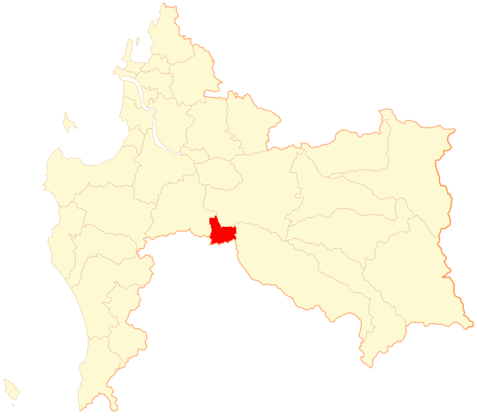 ملف:Comuna de Negrete.svg