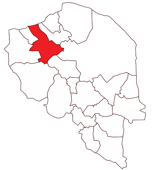 ملف:Rafsanjan County.svg