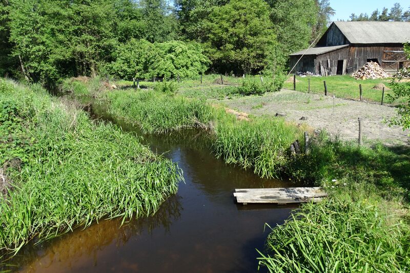 ملف:Rzeka Plewka w Janowicach.JPG