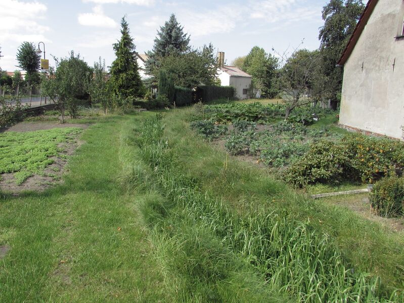 ملف:Strepenbach in glienecke.JPG