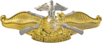 USN - Fleet Marine Force Officer Insignia.png