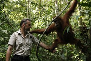 Peter Pratje with an orangutan