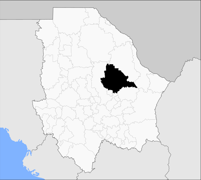 ملف:Aldama en Chihuahua.svg