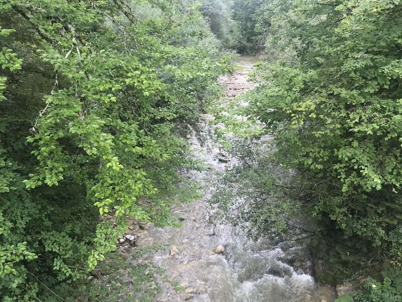 ملف:Le Tacon à Coiserette.JPG