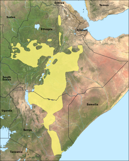 Map of the Oromo language.svg
