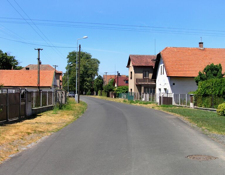 ملف:Živanice, Nerad.jpg