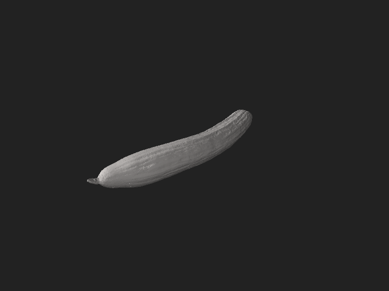 ملف:3DCucumber001 HQ-4K-PNG.stl