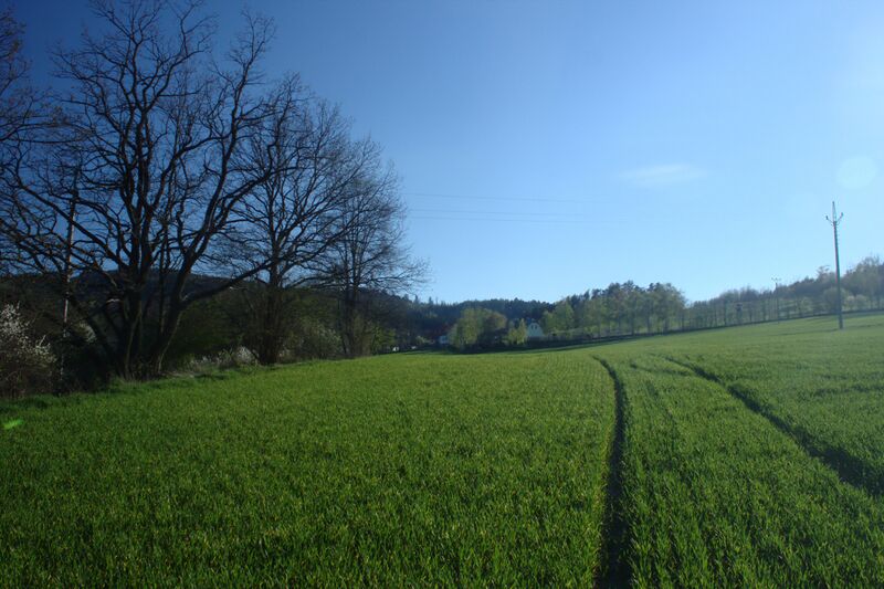 ملف:Bolešín, pole.jpg