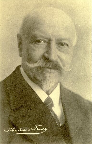 ملف:Faure Sebastien.jpg