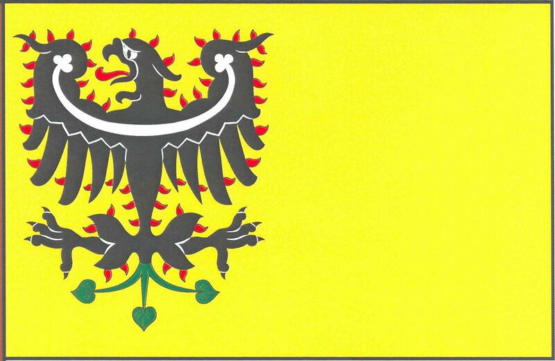 ملف:Flag of Zlonín.jpeg