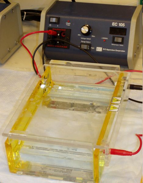 ملف:Gel electrophoresis apparatus.JPG