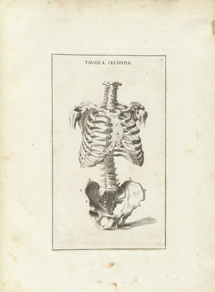 ملف:Genga 05.jpg