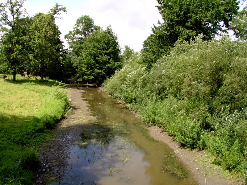 ملف:Liwna w Silginach.JPG