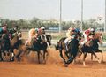 تصغير للنسخة بتاريخ 22:48، 29 سبتمبر 2009