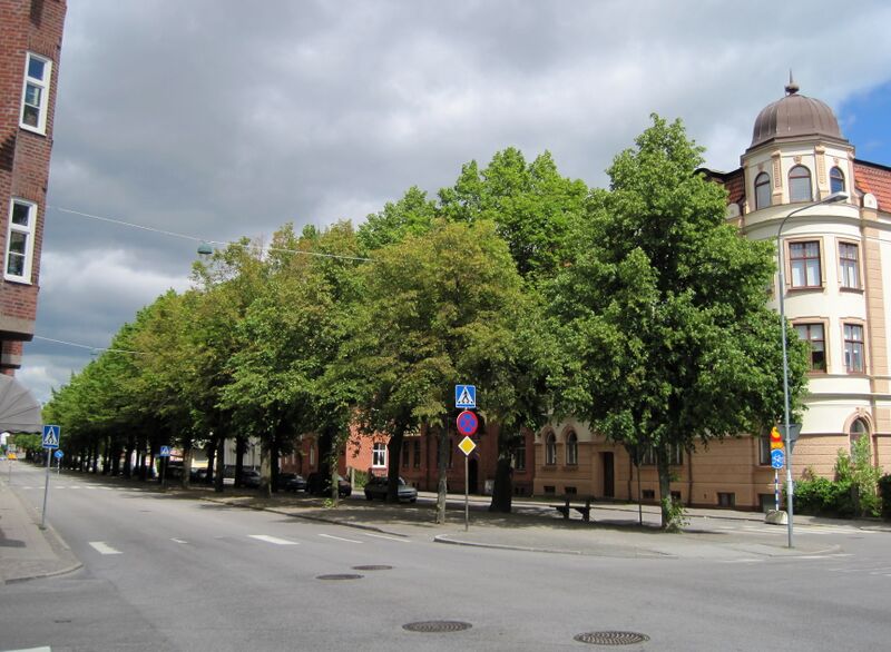 ملف:Södra Esplanaden, Lund.JPG