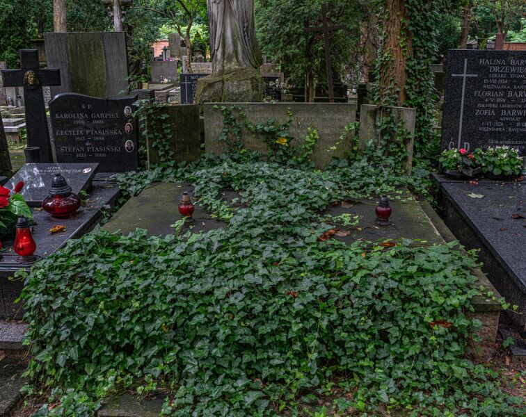 ملف:Tadeusz Mrówczyński - grób.jpg