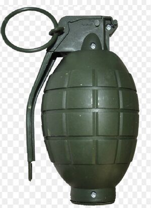 قنبلة الخرج65.jpg
