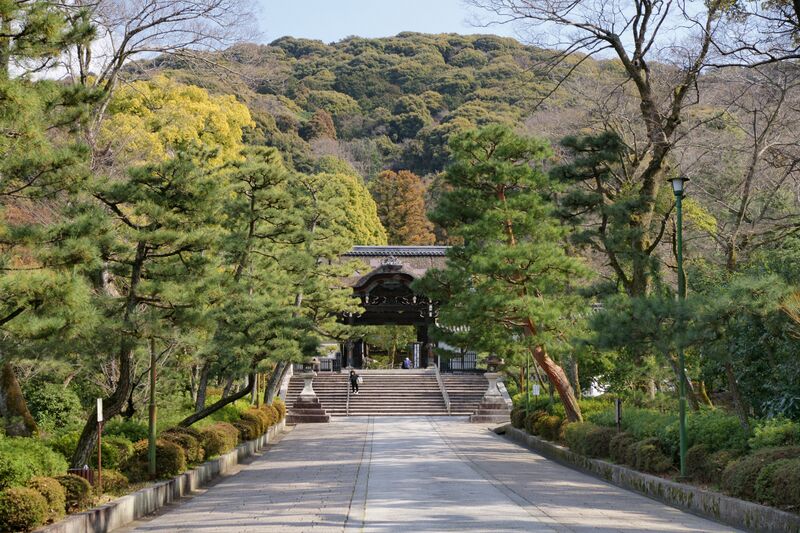 ملف:Ootani sobyo01n4272.jpg