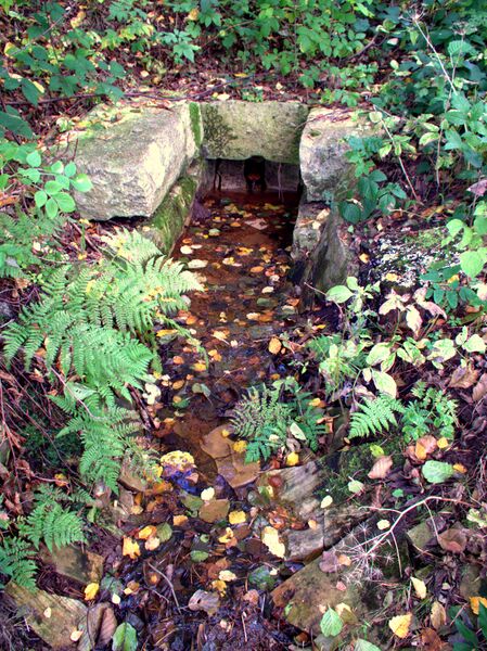 ملف:Sulz-Quelle Tyrolsberg 01.jpg