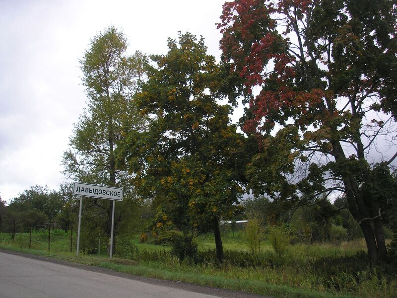 ملف:Davidovskoe 1.JPG