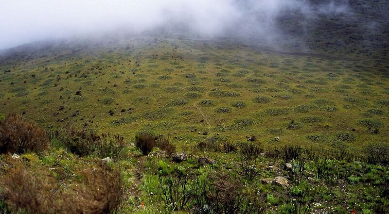 ملف:Frost upheaval.jpg