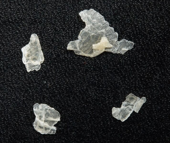 ملف:Huidschilfers A.jpg