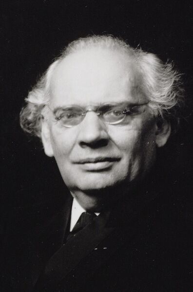 ملف:Julius Röntgen.jpg