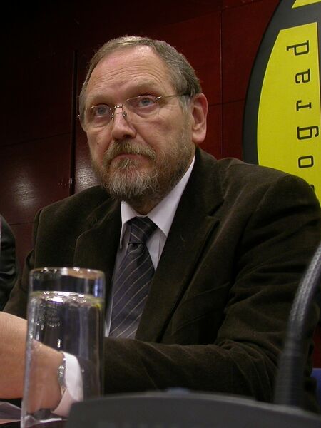 ملف:Radomir Naumov Crop.jpg